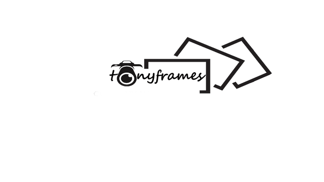 TonyFrames